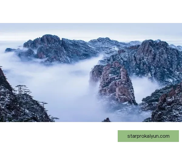 滕哈赫战术解析：重塑球队实力与凝聚力的成功之道，值得关注